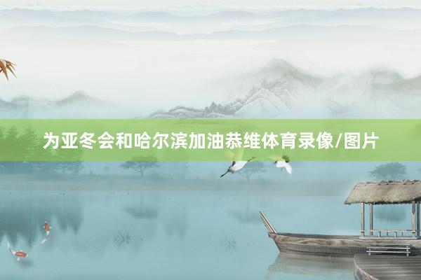 为亚冬会和哈尔滨加油恭维体育录像/图片