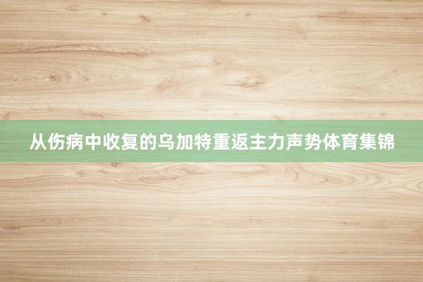 从伤病中收复的乌加特重返主力声势体育集锦