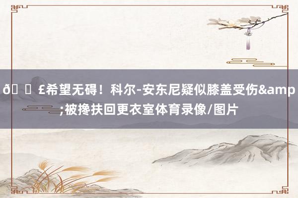 😣希望无碍！科尔-安东尼疑似膝盖受伤&被搀扶回更衣室体育录像/图片