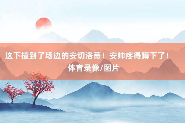 这下撞到了场边的安切洛蒂！安帅疼得蹲下了！    体育录像/图片