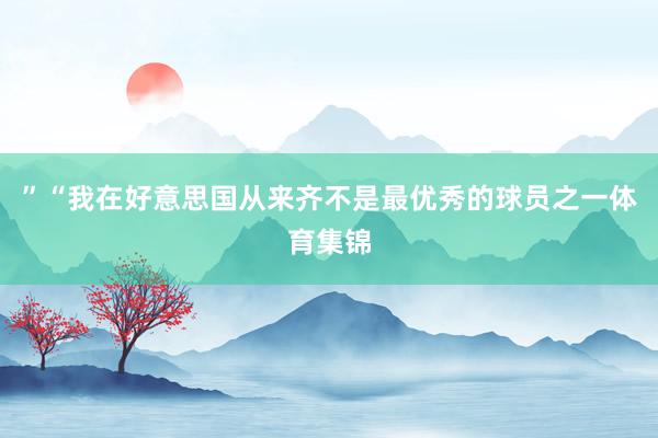 ”“我在好意思国从来齐不是最优秀的球员之一体育集锦