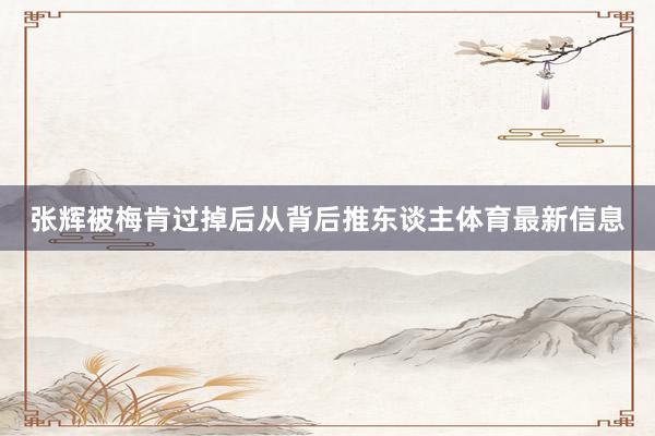 张辉被梅肯过掉后从背后推东谈主体育最新信息