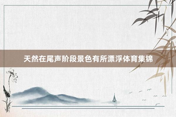 天然在尾声阶段景色有所漂浮体育集锦