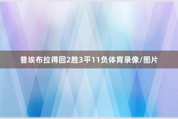 普埃布拉得回2胜3平11负体育录像/图片