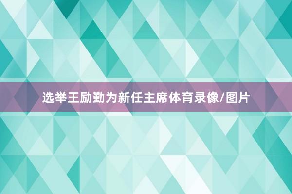 选举王励勤为新任主席体育录像/图片