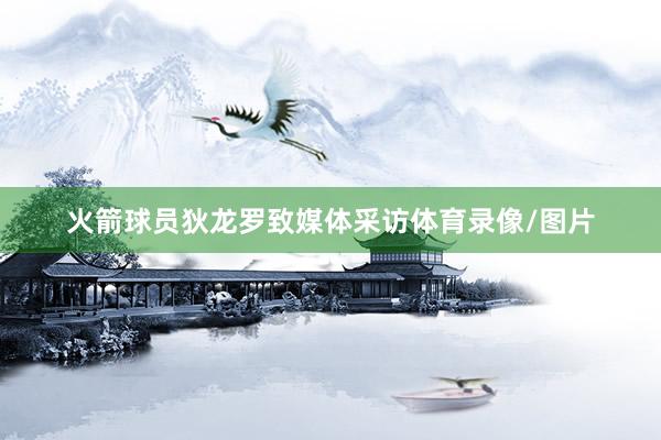 火箭球员狄龙罗致媒体采访体育录像/图片