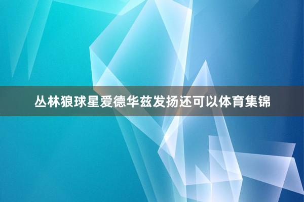 丛林狼球星爱德华兹发扬还可以体育集锦