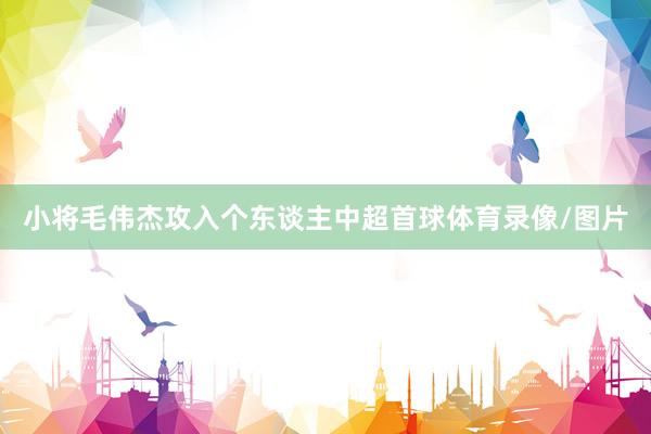 小将毛伟杰攻入个东谈主中超首球体育录像/图片