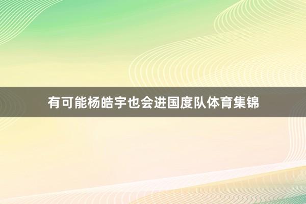 有可能杨皓宇也会进国度队体育集锦