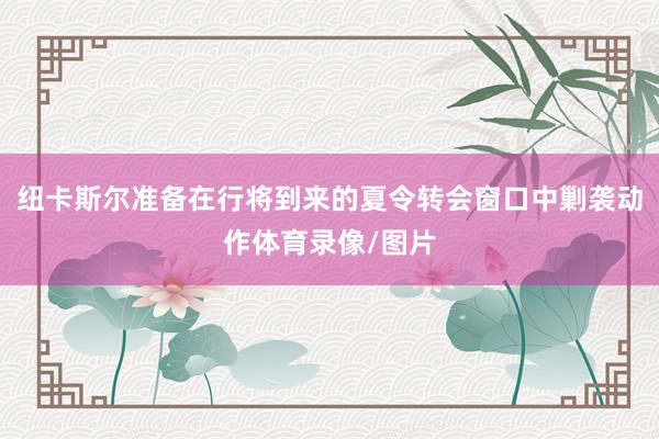 纽卡斯尔准备在行将到来的夏令转会窗口中剿袭动作体育录像/图片