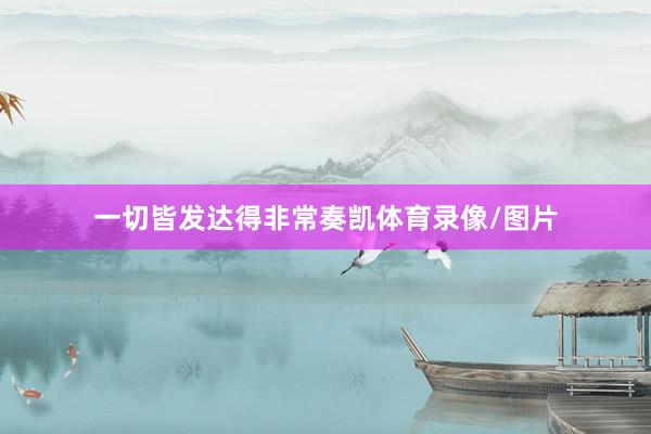 一切皆发达得非常奏凯体育录像/图片