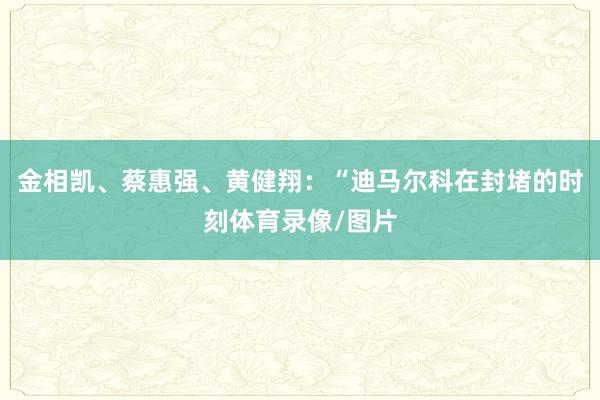 金相凯、蔡惠强、黄健翔：“迪马尔科在封堵的时刻体育录像/图片