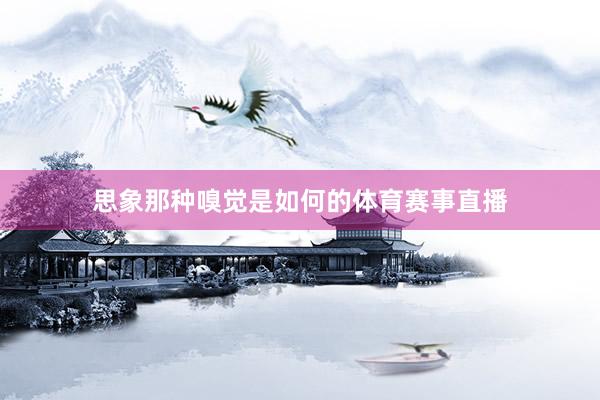 思象那种嗅觉是如何的体育赛事直播