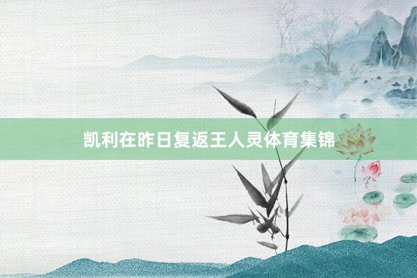 凯利在昨日复返王人灵体育集锦