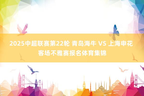 2025中超联赛第22轮 青岛海牛 VS 上海申花 客场不雅赛报名体育集锦