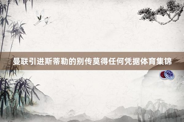 曼联引进斯蒂勒的别传莫得任何凭据体育集锦