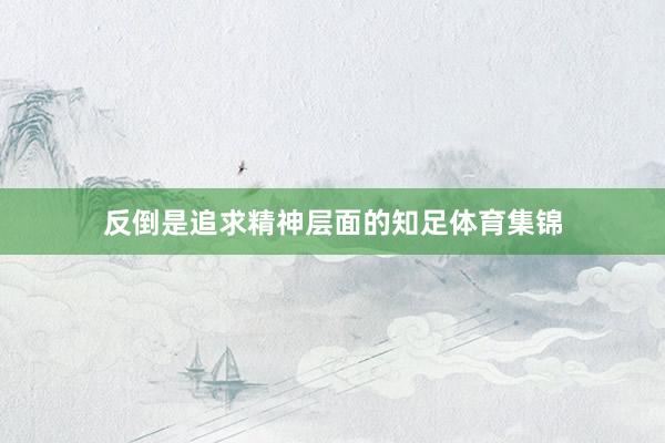 反倒是追求精神层面的知足体育集锦