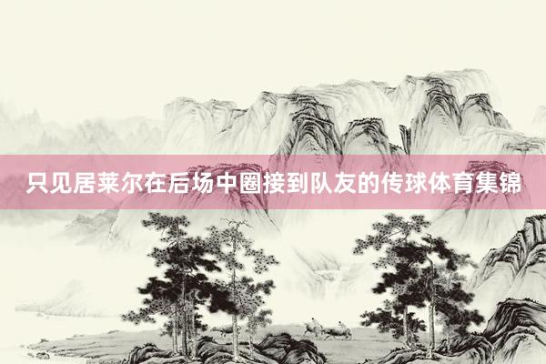 只见居莱尔在后场中圈接到队友的传球体育集锦