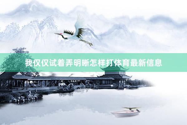 我仅仅试着弄明晰怎样打体育最新信息