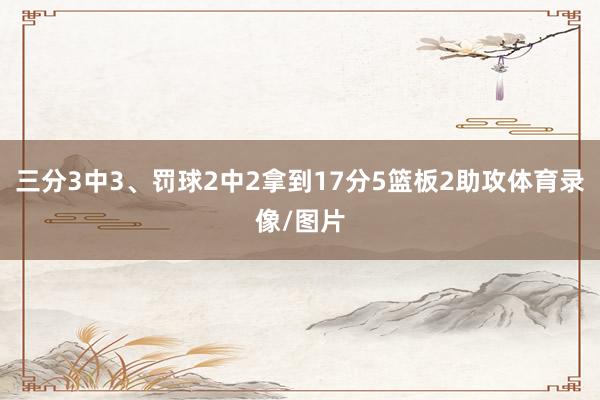 三分3中3、罚球2中2拿到17分5篮板2助攻体育录像/图片