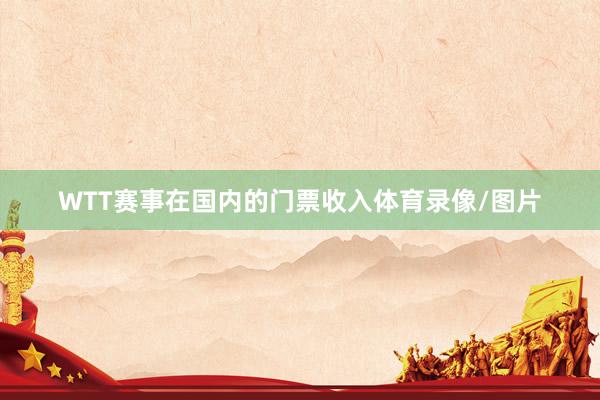 WTT赛事在国内的门票收入体育录像/图片