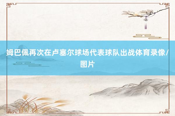 姆巴佩再次在卢塞尔球场代表球队出战体育录像/图片