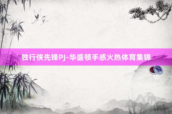独行侠先锋PJ-华盛顿手感火热体育集锦