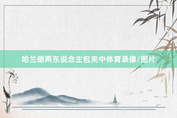 哈兰德两东说念主包夹中体育录像/图片