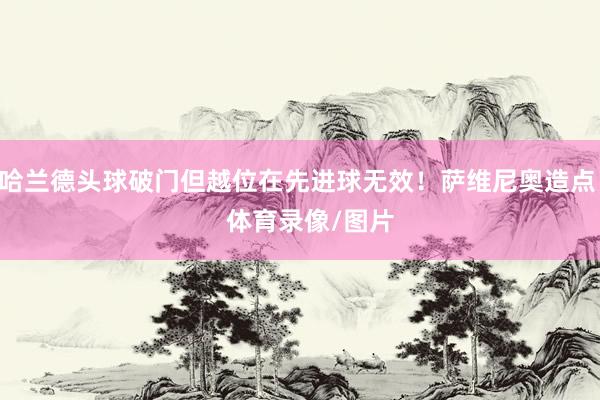哈兰德头球破门但越位在先进球无效！萨维尼奥造点    体育录像/图片