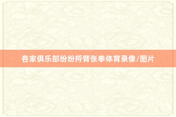 各家俱乐部纷纷捋臂张拳体育录像/图片