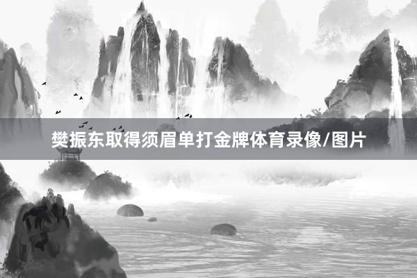 樊振东取得须眉单打金牌体育录像/图片