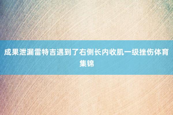 成果泄漏雷特吉遇到了右侧长内收肌一级挫伤体育集锦
