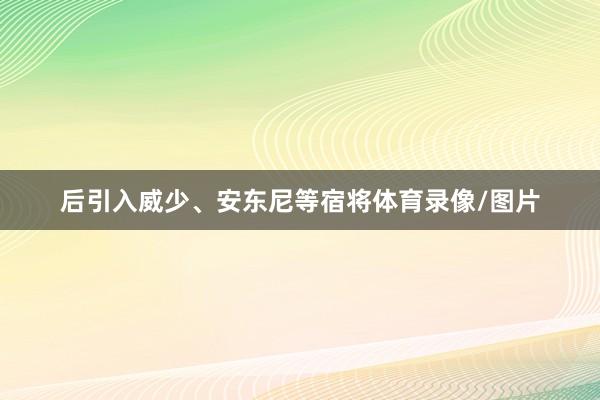 后引入威少、安东尼等宿将体育录像/图片